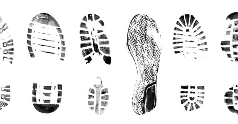 Officials Find Hunter Biden Tracks in the Capitol Officials Find Hunter Biden Tracks in the Capitol