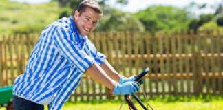michaeljung / shutterstock.com