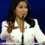 Tulsi Gabbard: From Surfing Waves to Surfing Intel Briefs – The Senate’s Latest Plot Twist Consolidated News Photos / Shutterstock.com