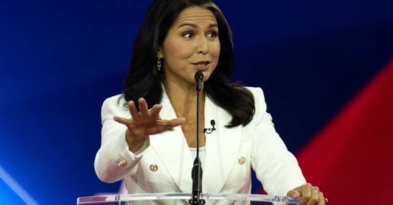 Tulsi Gabbard: From Surfing Waves to Surfing Intel Briefs – The Senate’s Latest Plot Twist