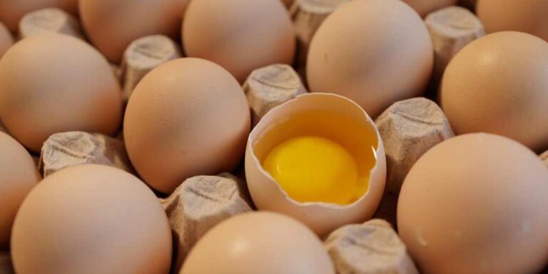 Biden Caused The Egg Price Surge – How Trump Is Trying To FIX IT Biden Caused The Egg Price Surge – How Trump Is Trying To FIX IT