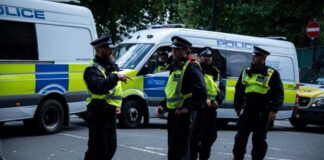 Loredana Sangiuliano / Shutterstock.com